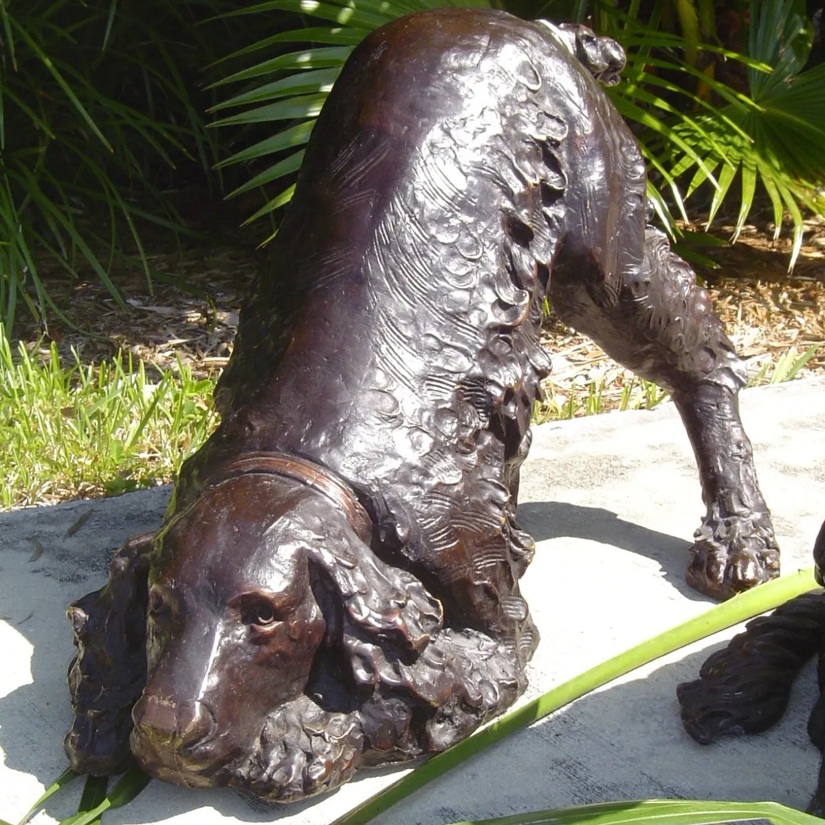 Springer Spaniel