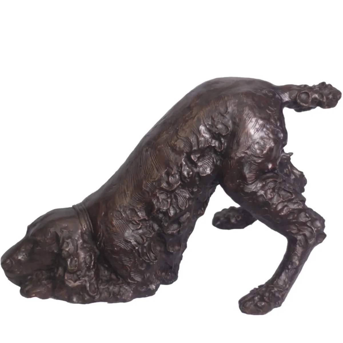 Springer Spaniel